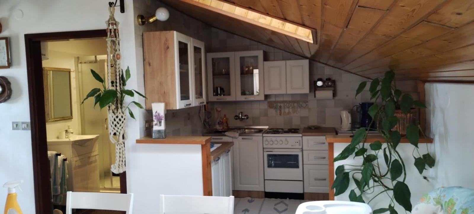 Apartment Gaudeamus Umag Exterior foto
